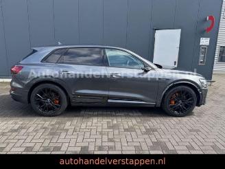 Audi E-tron 55 Quattro S line Sport Panorama FULL CAM picture 11