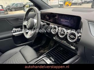 Mercedes EQA 250+ Progressive Facelift picture 12