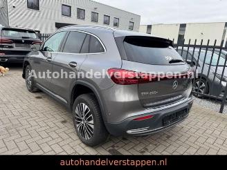 Mercedes EQA 250+ Progressive Facelift picture 7