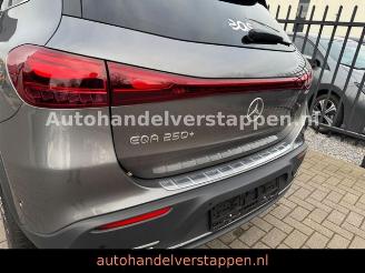 Mercedes EQA 250+ Progressive Facelift picture 6