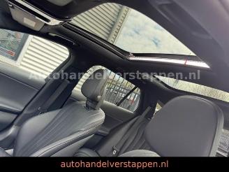 Mercedes E-klasse 450d 4Matic Avantgard Advancd Panorama picture 37