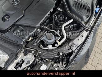 Mercedes E-klasse 450d 4Matic Avantgard Advancd Panorama picture 19