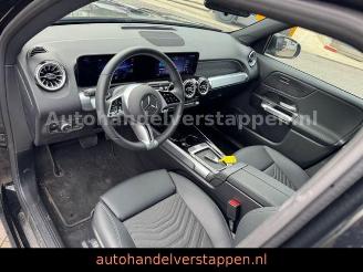 Mercedes EQB 250+ Progressive Essential Line picture 12