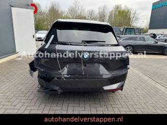 BMW iX 40 xDrive 240KW Sky Lounge picture 5