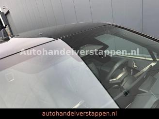 BMW iX 40 xDrive 240KW Sky Lounge picture 9