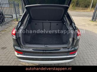 Audi Q4 35 e-tron Sportback S-Line Sportpaket 20'' picture 12