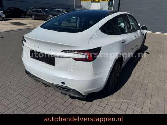 Tesla Model 3 RWD Highland Panorama Leder picture 4