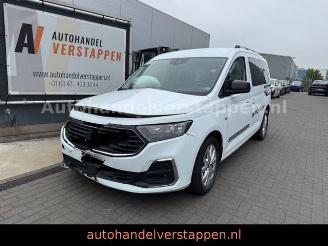 damaged passenger cars Ford   2025/4