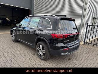 Mercedes EQB 300+ 4Matic 168KW Progressive Panorama FULL picture 6