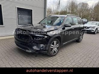 Mercedes EQB 300+ 4Matic 168KW Progressive Panorama FULL picture 8