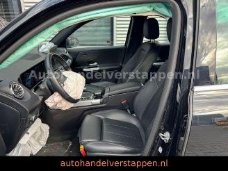 Mercedes EQB 300+ 4Matic 168KW Progressive Panorama FULL picture 22