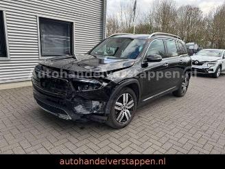 Mercedes EQB 300+ 4Matic 168KW Progressive Panorama FULL picture 8