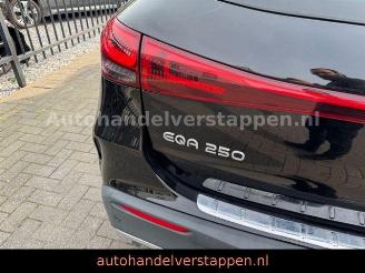Mercedes EQA 250+ Edition 1 START EDITION FULL OPTION picture 3