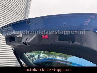 Mercedes Cla-klasse 250e Shooting Brake Panorama Facelift picture 25