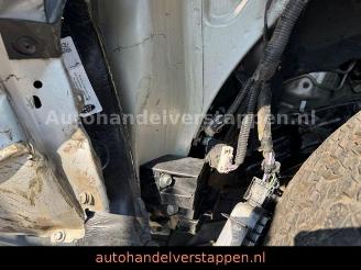 Ford Ranger Wildtrak e-4WD Doppelkabine picture 26