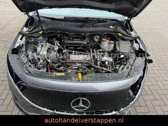 Mercedes EQA 250+ 71KWH LUXURY LINE Pano Burm Facelift picture 16