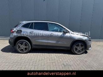 Mercedes EQA 250 AMG Sport Pano Burm Memory picture 3