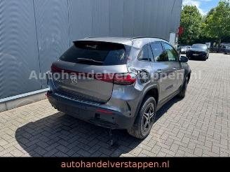 Mercedes EQA 250 AMG Sport Pano Burm Memory picture 5