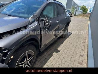 Mercedes EQA 250 AMG Sport Pano Burm Memory picture 12