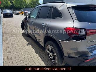Mercedes EQA 250 AMG Sport Pano Burm Memory picture 6