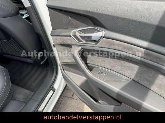 Audi E-tron 55 Quattro Advanced 93KWH picture 28