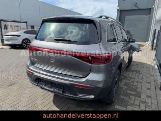 Mercedes EQB 250+ 71KWH Progressive Panorama picture 3