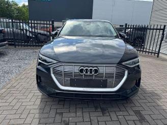 Audi E-tron 55 Quattro 300KW 93KWH Panorama picture 9