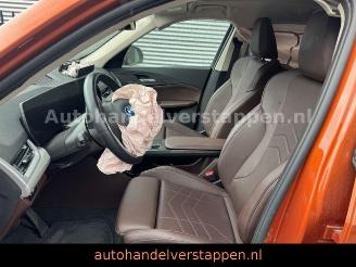 BMW X1 25e xDrive 180KW Plug in hyrid Navi Leder picture 8