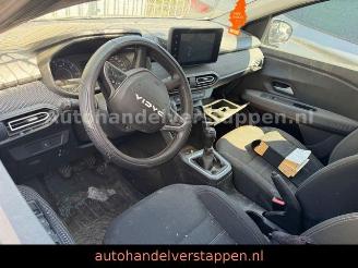Dacia Jogger Expression 81KW  TCE Dolomit-Grau picture 9