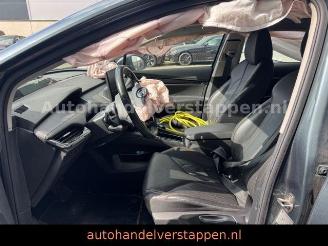 Skoda Enyaq IV 80 Version HUD Wärmepumpe 21'' picture 17