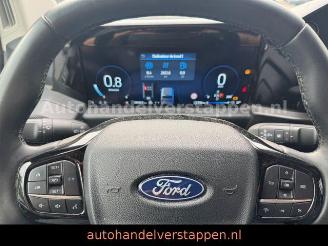 Ford Transit Custom Kasten 280 L2 AUTOMATIC CAM picture 20