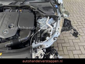 Mercedes E-klasse 200d AMG Lin Pano Burm Night-Pakt picture 17