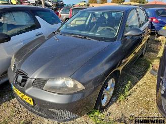 Vrakbiler auto Seat Ibiza Ibiza III (6L1), Hatchback, 2002 / 2009 1.4 TDI 80 2009/4