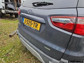 Ford EcoSport EcoSport (JK8), SUV, 2013 1.0 EcoBoost 12V 125 picture 21