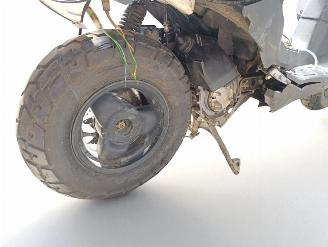 Peugeot  50 TREKKER picture 16