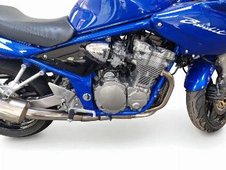 Suzuki  GSF picture 14