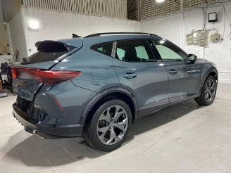 Cupra Formentor 1.5 TSI e-Hybrid picture 8