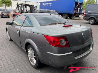 Renault Mégane Megane II CC (EM), Cabrio, 2003 / 2010 2.0 16V picture 7