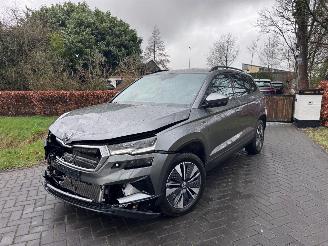 Skoda Karoq Karoq 1.5 TSI DSG Camera Trekhaak Ambiance VOL! picture 1