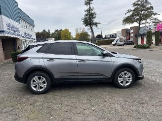 Opel Grandland X picture 7