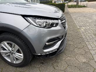 Opel Grandland X picture 9