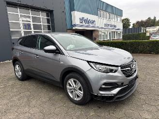 Opel Grandland X picture 8