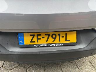 Opel Grandland X picture 13