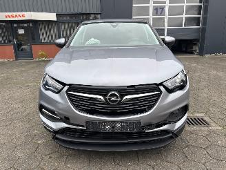 Opel Grandland X picture 5