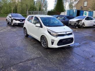 Kia Picanto Picanto (JA), Hatchback, 2017 1.0 12V picture 8