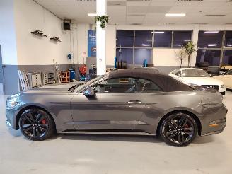 Ford Mustang  picture 4