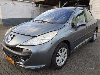 Peugeot 207 1.6 VTI picture 1