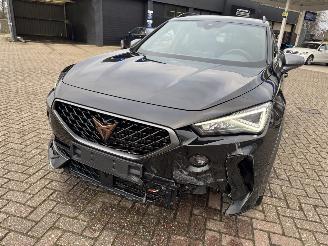 Cupra Formentor 2.0 TSI  VZ 245 Pk DSG picture 4