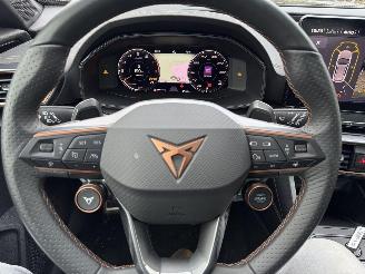 Cupra Formentor 2.0 TSI  VZ 245 Pk DSG picture 39