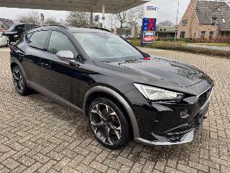 Cupra Formentor 2.0 TSI  VZ 245 Pk DSG picture 7